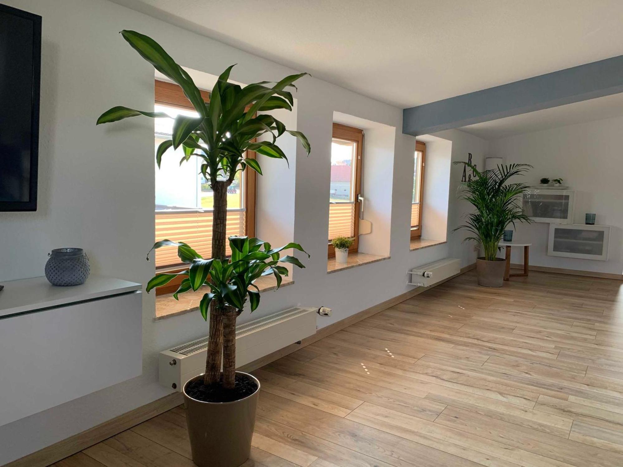 Ferienwohnung In Den Wiesen Albertshausen المظهر الخارجي الصورة